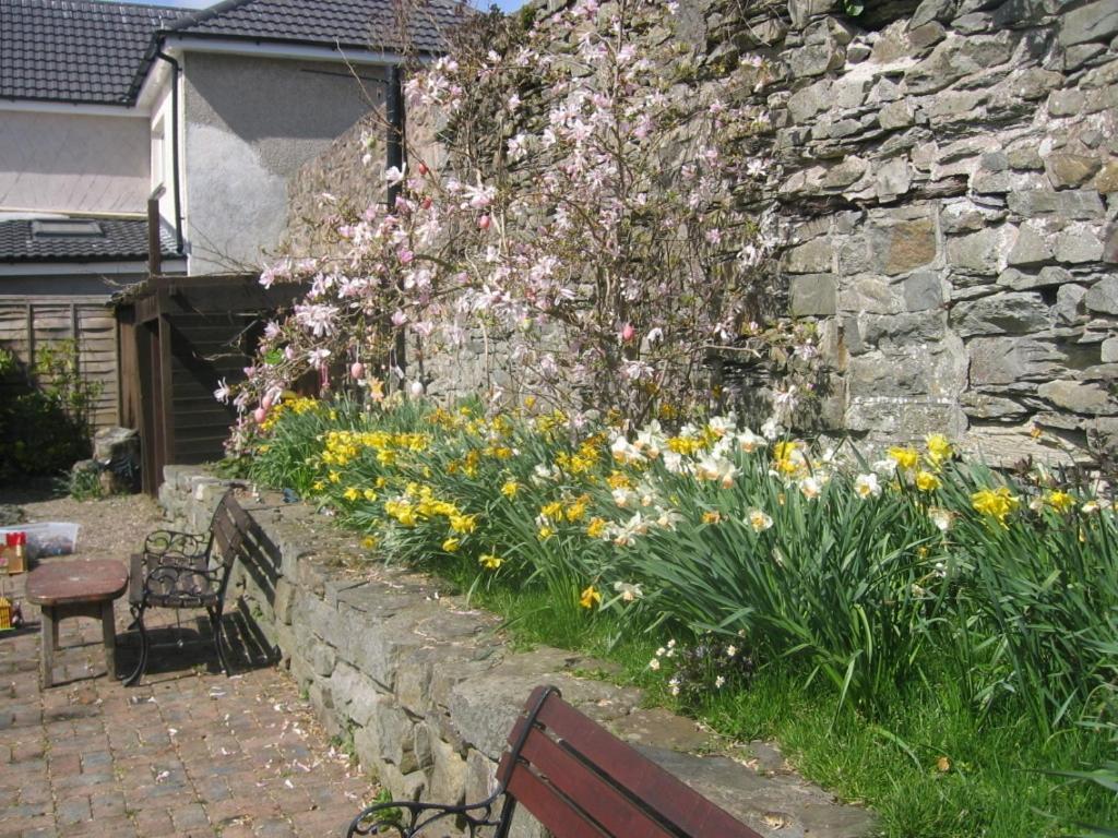 The Horseshoe Guesthouse Rhayader Exterior foto